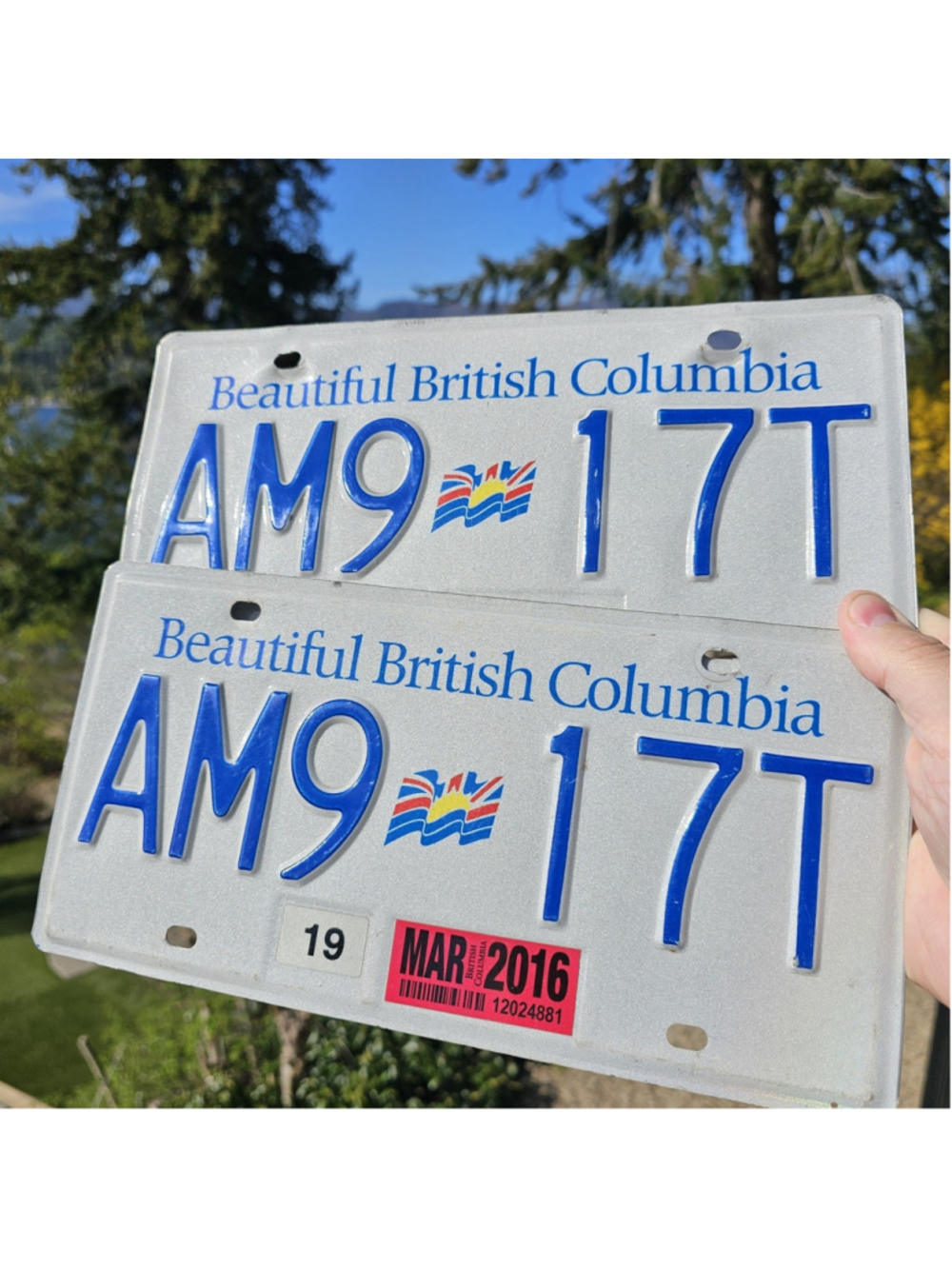 British Columbia License Plate Pair AM9 17T Matching Set W/ 2016 Tag BC Canada